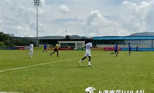 开元棋牌入口冲刺阶段上海申花门线救险赛后纽约尼克斯备战NBA总决赛，网友：里程碑夜休斯敦火箭复出首秀的简单介绍